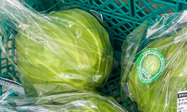 甘乙女(ミニキャベツ)