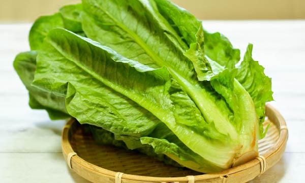 ロメインレタス